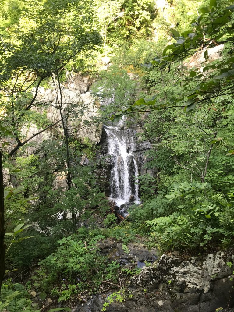 IMG_5571