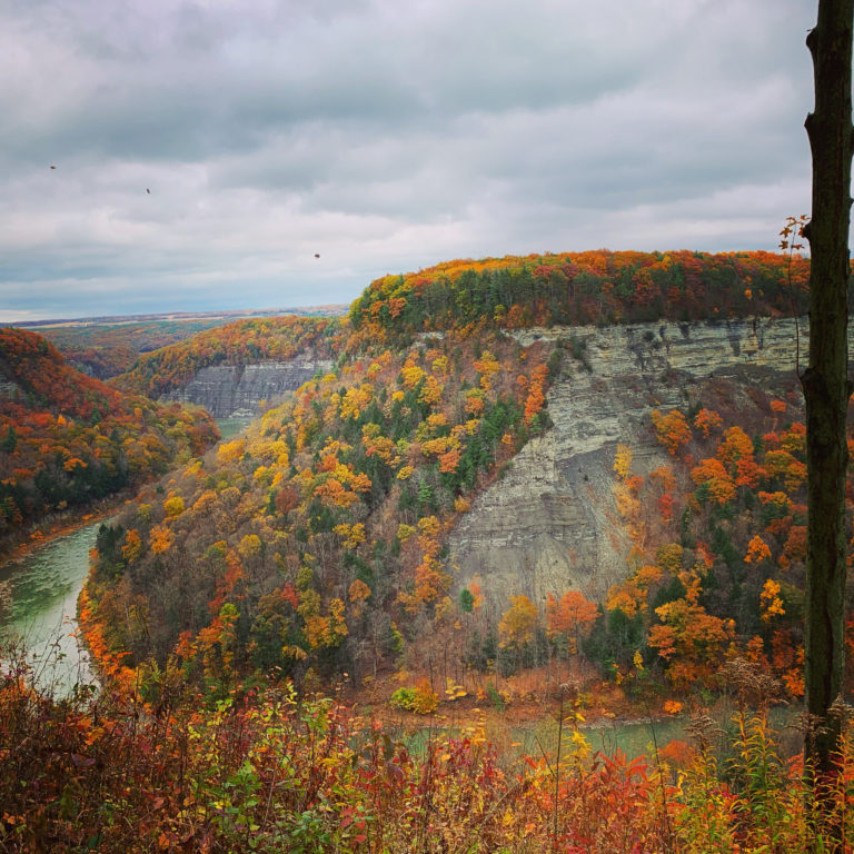 Letchworth State Park in Autumn