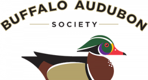 duck_RGB