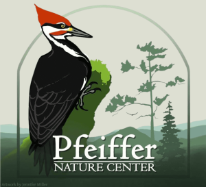 Pfeiffer Logo