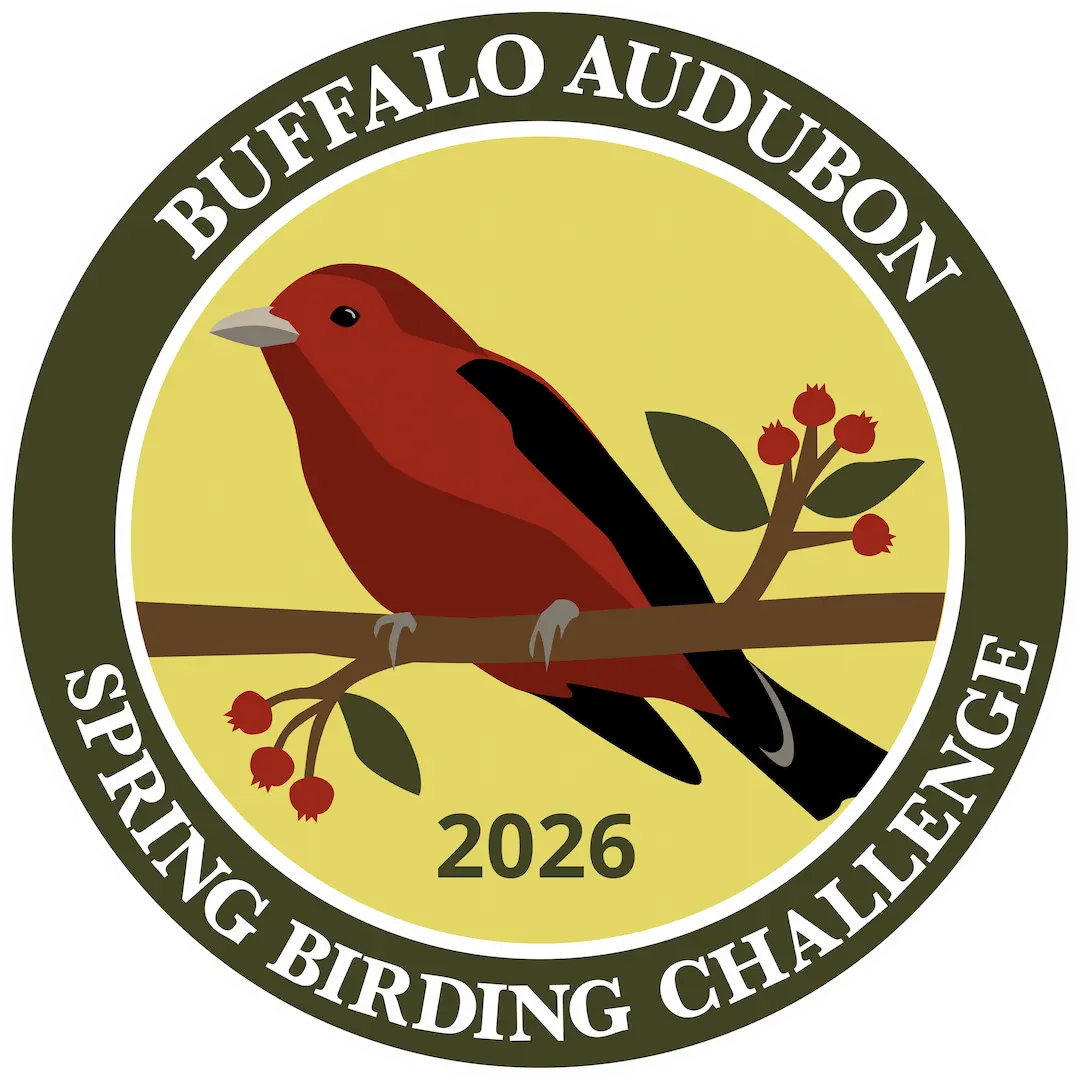 2026 Spring Birding Challenge